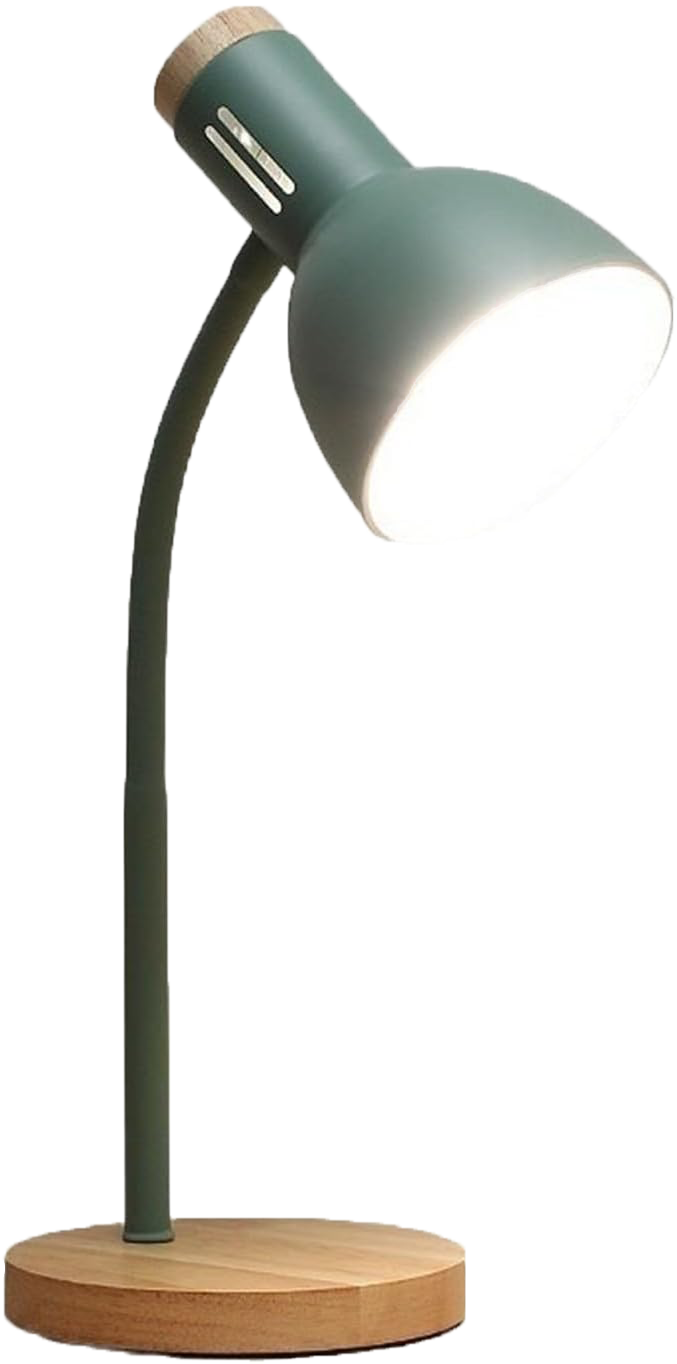 Bright Learning LED Desk Lamp